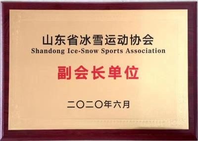 冰雪副會長單位