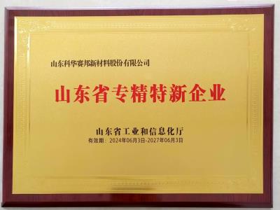 專精特新企業(yè)